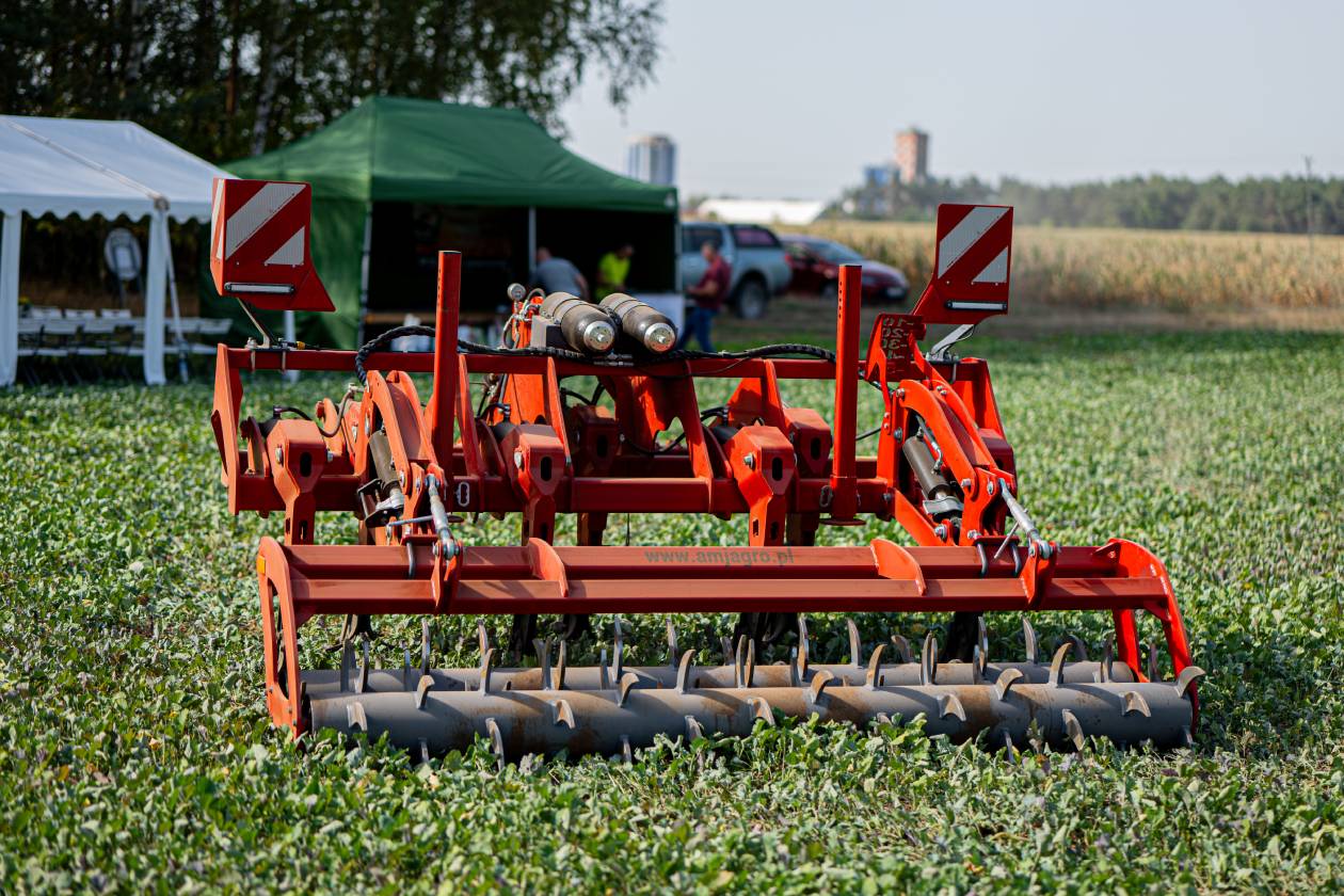 Praca pługa dłutowego z wałem kolczastym